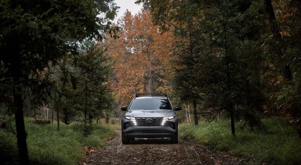 A silver 2023 Hyundai Tucson XRT is shown from the front on a tree-lined trail after leaving a Hyundai dealership.