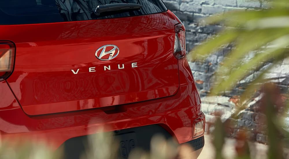 A close-up on the rear of a red 2024 Hyundai Venue.