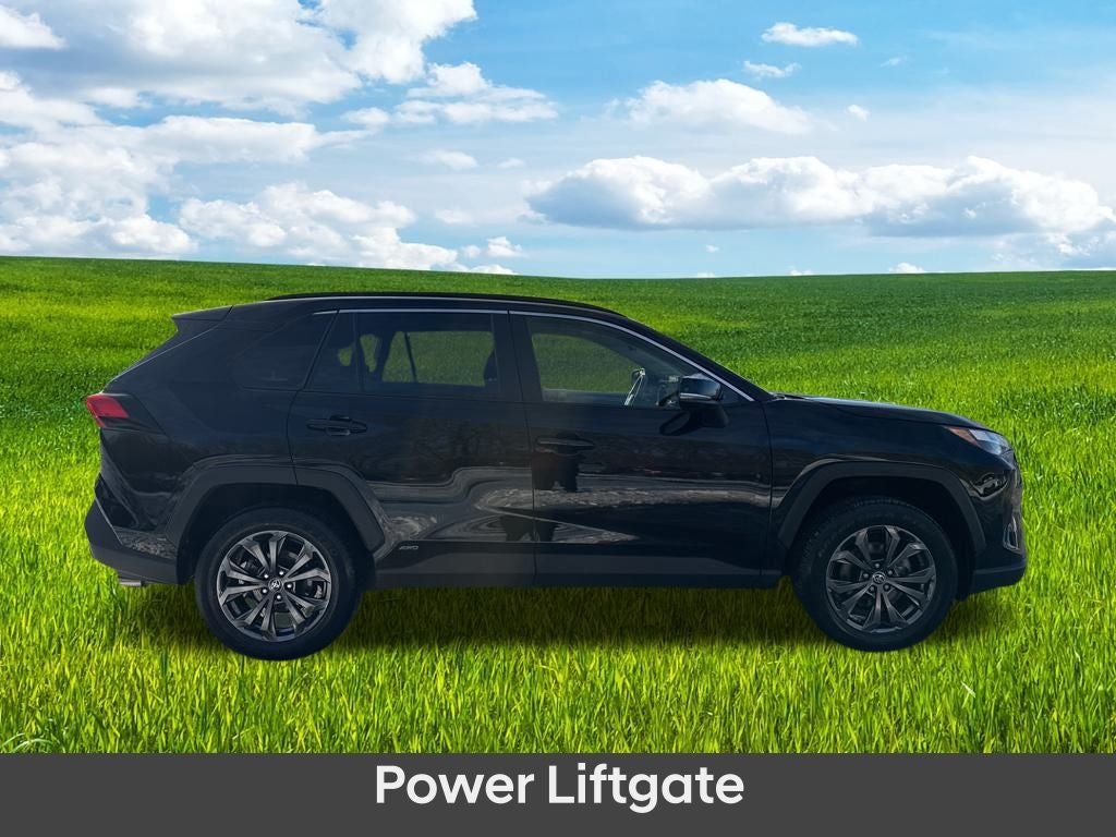 2024 Toyota RAV4 Hybrid XLE Premium